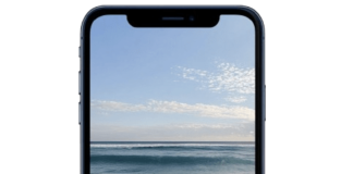 How to Protect Your Phone While Exploring Beaches and Parks