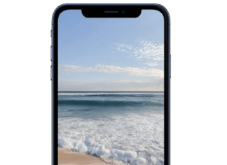 How to Protect Your Phone While Exploring Beaches and Parks