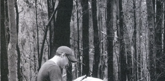 A Storyboard Artist Featured