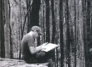 A Storyboard Artist Featured